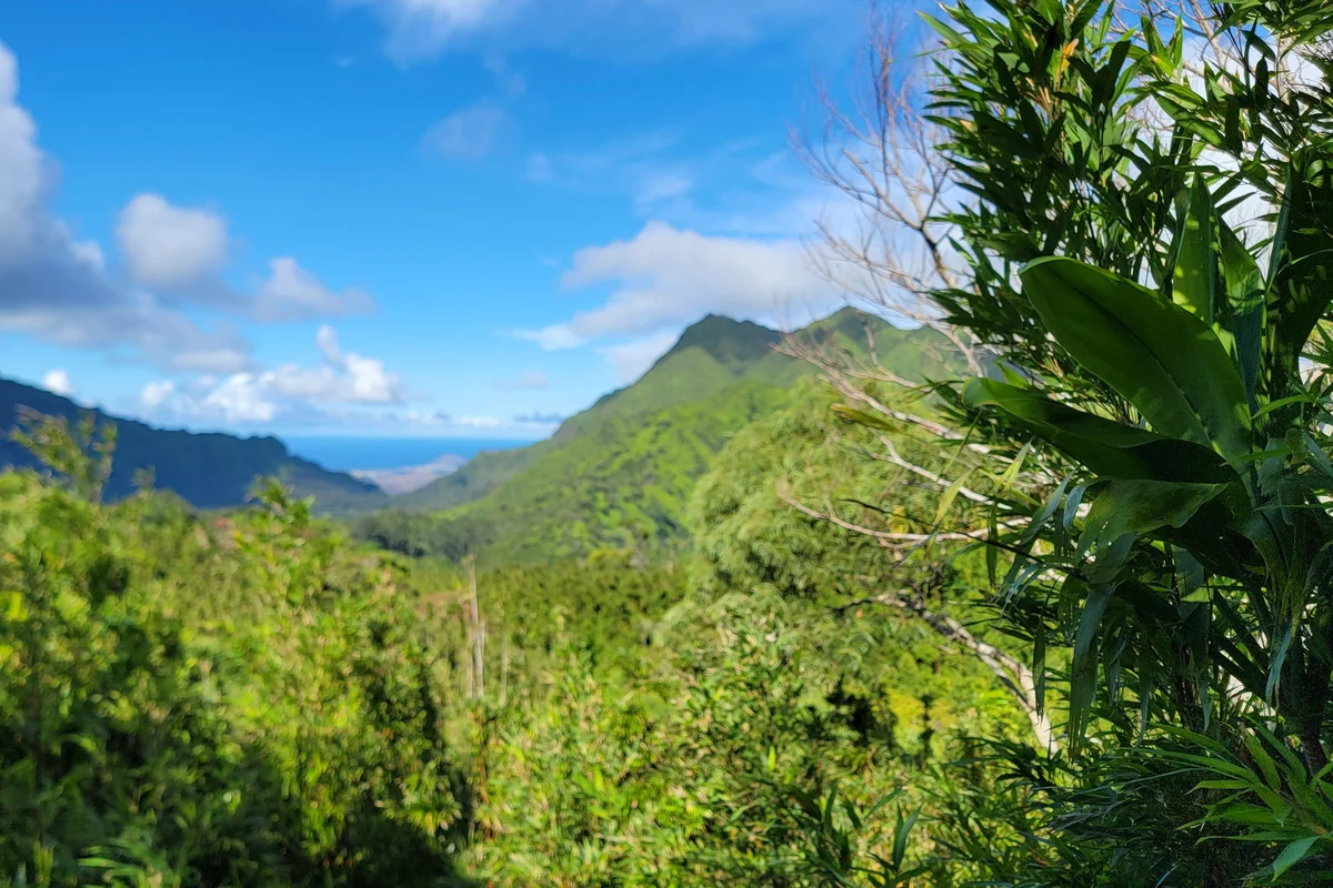 Panoramic view of Honolulu, Waikiki, Diamond Head crater and the Pacific Ocean from the Ko'olau volcanic ridgeline, Oahu Hawaii