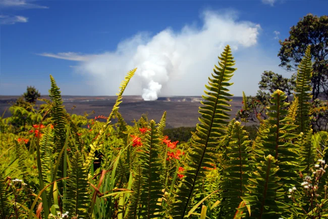 Interior of Nāhuku Thurston Lava Tube at Hawaii Volcanoes National Park with fern-covered entrance and visitors walking inside
